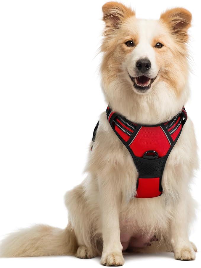 Dog Harness No Pull with 2 Leash Clips, Adjustable Soft Padded, Reflective Oxford No Choke Pet Vest with Easy Control Handle, Red, M