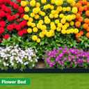 MIXC Garden Edging Border, 100FT 2 Inch Tall Plastic Landscape Edging with 150 Stakes, Flexible Tool-Free Lawn Border for Yard, Flower Bed & Landscaping