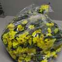 HyeFlora Artificial Fake Hanging Outdoor Flowers Plants Basket, Faux Silk Yellow Orchid Flowers UV Resistant Realistic Hanging Planter for Outside Porch Patio Home Garden Yard Decoration