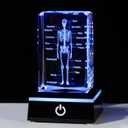 Movdyka 3D Human Skeleton Anatomy Model Doctor Psychology Graduation Gifts for Him Her, Laser Etched Crystal Skeleton Figurine Paperweight Science Biology Gift with Colorful LED Base (Body)