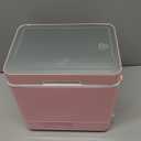 4L Makeup Mini Fridge for Bedroom, Car, Office & Dorm, Shell Pink