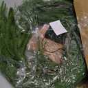 Brightown Pre-lit Christmas Garland with Lights, 6 Feet 20 LED Lighted Green Pine Leaves Garland Decorated, Battery Operated, Indoor & Outdoor Christmas Lights for Mantle Fireplace Stairs Wall Door (1 Pack)