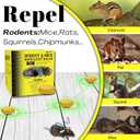 Rodent & Mice Repellent,Indoor/Outdoor/Car Engine Protection,Long-Lasting Peppermint Oil Formula,Safe for Pets & Kids,30-60 Days Effective Mouse Deterrent (18, Yellow)