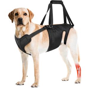 Dog Lift Harness, Dog Sling for Large Medium Dogs' Hind Leg Support Pee-Able. Ideal for Seniors, Disabled, Injured & Arthritic Dogs in ACL Recovery, Secure Harness for Assisted Mobility (Large)