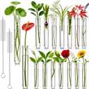 Test Tubes for Plants, 16 Pack 20ml Clear Acrylic Plant Propagation Tubes with 2 Cleaning Brushes, Round Bottom Design, Watch Roots Grow, Home Office Desk Decor, Science Experiments