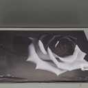 Black And White Rose Canvas Wall Art Modern Rose Flower Poster Print Wall Decor Picture Rustic Floral Painting for Living Room Bedroom Bathroom Farmhouse Home Decoration 16"X24"