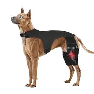 Adjustable Dog Knee Brace for ACL Tear and Arthritis Recovery - Dual Hind Legs Support with Harness Connection - Orthopedic Leg Wrap for Joint Stability and Pain Relief in Small to Large Dogs (L)