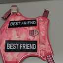 Tactical Dog Harness Medium Sized, Heavy Duty No Pull Dog Harness with Handle, Easy On and Off Service Dog Vest with Molle System, Reflective Pet Vest for Walking Hiking Training (M(Neck:17-23",Chest:22-32"),35-50 lbs, Pink)