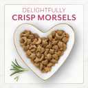 Fancy Feast Purina Filet Mignon Flavor with Real Seafood & Shrimp Dry Cat Food (7 Ounce (Pack of 1)) (EXP 01/01/27)