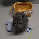 Amazon.com: Angelaicos Girls Blue Plaid Costume Accessories for Halloween Role Play Outfits (X-Large) : Clothing, Shoes & Jewelry