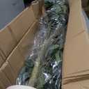 2 Packs Eucalyptus Trees Artificial Indoor - 4FT Tall Faux Eucalyptus Plants in White Planter, Fake Plant Décor for Farmhouse Bedroom Office Room Hallway Decoration