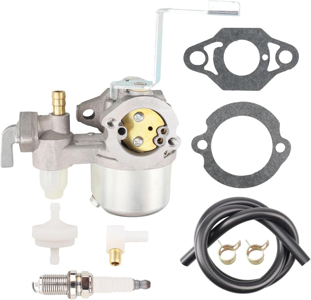 796447 Carburetor for BS 122332 122336 122337 122352 122362 122366 122367 122432 122435 122436 122437 Series Horizontal Engine