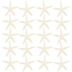 Jangostor 20 PCS Starfish, 2.5" to 4" Natural Seashells Starfish Star Fish Shells Decorations White Starfish Ornaments Perfect for Wedding Beach Theme Party Home Decorations, DIY Crafts, Fish Tank