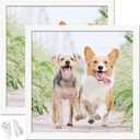 13x13 Picture Frame Set of 2, White Square Photo Frames High Transparent Wall Gallery Desktop Horizontal Vertical for Canvas Collage Photo Poster Certificate 13 x 13 inches