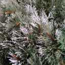 Yaheetech 6ft Pre-lit Frosted Artificial Hinged Christmas Tree with 818 Flocked PVC Tips,62 Pine Cones,62 Holly Berries & 250 Warm White Lights,Foldable Stand,Green