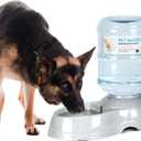 3 Gallon Dog Water Dispenser for Large Dogs, Automatic Gravity Pet Water Station, Large Capacity Pet Drinking for Lage Dogs and Multi-Pet, Anti-Slip Base, BPA-Free