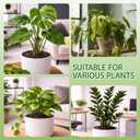 10Pcs Stackable Monstera Plant Support Stakes, Indoor Climbing Poles with Clips and Ties for Potted Plants and Pothos