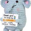 2 x OASSIE Best Friend Birthday Gifts for Women - Positive Crochet Elephant | Friendship Gifts, Presents for Bestie, Handmade, Soft and Comforting, Emotional Support, Squeezable, Ready to Gift