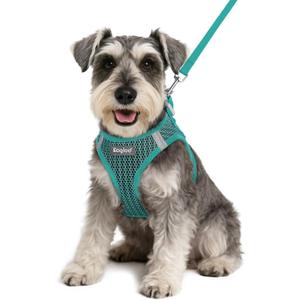 Eagloo Small Dog Harness and Leash Set, Step in Puppy Vest with Breathable Soft Mesh, Walking Reflective Pet Harness for Small Dogs, Forest Green, S