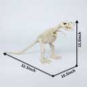 15.5" Animated T-Rex Skeleton Halloween Decoration with Light & Sound