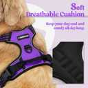 Rabbitgoo Dog Harness, No-Pull Pet Harness with 2 Leash Clips, Adjustable Soft Padded Dog Vest, Reflective No-Choke Pet Oxford Vest with Easy Control Handle for Large Dogs, Purple, L