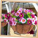 Dandat 12 Pack Hanging Planter Basket Outdoor Large Hanging Flower Pots Indoor 10 inch with Coco Coir Liner Round Wire Plant Holder Chain Basket Garden for Home Decor Balcony Office