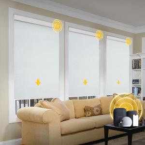CITOLEN Motorized Blinds with Remote Roller Shades Bright White, 41 x 72