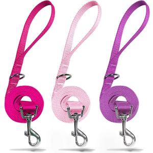 azuza 3 Pack Nylon Dog Leashes,Strong & Durable Basic Style Leash with Easy to Use Collar Hook, Hot Pink/Pink/Purple (XS: 3/8" x 6 FT)