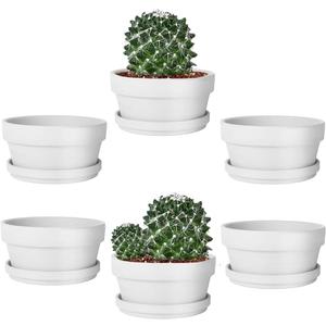 vensovo 5.7 Inch White Terracotta Shallow Succulent Pots - 6 Pack Terra Cotta Clay Pot with Saucer, Cacuts Indoor and Outdoor Planters with Drainage Hole