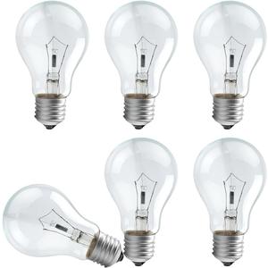 100 W Incandescent Light Bulb, A19 E26 Medium Base, Dimmable, Soft White - 6 Count