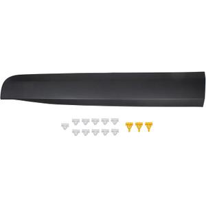 Front Right Passenger Side Door Trim Molding Lower for Chevrolet