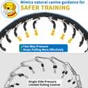 Mayerzon No Pull Dog Collar, Patented Martingale Collar for Dogs with Buckle and Heavy Duty Nylon for Walking Training Hunting, Safe and Easy to Use(XL, Blue)