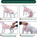 Kuoser Dog Recovery Suit Female, Dog Onesie for Surgery, Female Spay and Male Neuter Onesie for Post-Op Care, Prevent Licking Puppy Onesies, Pink L (White, L)