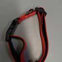 Taglory Reflective Dog Collar with Safety Locking Buckle, Adjustable Nylon Pet Collars for Large Dogs Female Male, Red, L (Large (Pack of 1))