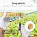 VIVOSUN 1" Rockwool Cubes, 200 Plugs Stonewool Starter Grow Cubes for Cuttings, Cloning, Plant Propagation, Seed Starting, Hydroponic Grow Media for Vigorous Plant Growth
