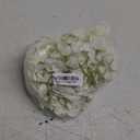 Flojery Silk Hydrangea Heads Artificial Flowers Heads with Stems for Home Wedding Decor,Pack of 10 (White)