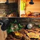 OMAYKEY 2-Pack 75W Ceramic Heat Lamp with 1-pcs Digital-Thermometer, Infrared Heat Emitter Bulbs for Reptiles, Amphibians, Chicken Brooder Coop Lizard Turtle Snake Aquarium, No Light No Harm