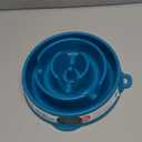 Outward Hound Fun Feeder Slo Bowl Medium 2Cup Capacity, Slow Feeding,  Dogs & Cats, Non-Slip, Turquoise, Drop Pattern Medium