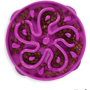 Outward Hound Fun Feeder Slo Bowl – Large 4‑Cup Capacity, Slow Feeding, Medium to Large Dogs, Non‑Slip, Purple, Flower Pattern