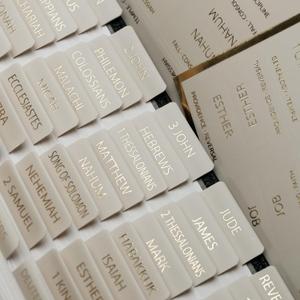 UPAFEXXI-Laminated Bible Tabs with Book Summaries(Gold Foil Embossed Lettering), Bible Tabs for Women and Men, Reposition Large Print Stickers, Easy to Read, 80Chapters Labels for Easy Navigation Summaries Gray