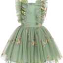 Flower Girls Sequin Butterfly Polka Dots Tutu Dress Kids Mesh Embroidery Tulle Wedding Princess Birthday Party Dresses (Green)