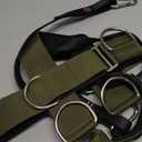 Iron Neck Neck Trainer, Exerciser, & Strengthener with Adjustable Head and Chin Strap - Portable Head Harness for Weight Lifting, Home, & Gym Use - Exercise & Workout Equipment (Alpha, Green)