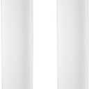 Pentair Pentek RFFE20-BB Big Blue Water Filter, 20-Inch, Whole House Radial Flow Iron Reduction Replacement Cartridge, 20" x 4.5", Pack of 2
