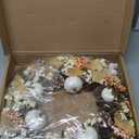 TaoQ C 17" Thanksgiving Wreath Fall Harvest Wreath Autumn Front Door Wreath with White Pumpkins Pine Cones Berries Maple Leaves for Outside Indoor Thanksgiving Autumn Fall Harvest Home Decor