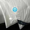 Royoliving Premium White Lightweight Feathers Down Duvet Insert Comforter Queen Size Summer Cooling Blanket, 100% Cotton Cover with Coner Tabs (90x90, 35 oz)