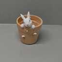 Easter - Spring Flower Pot - Bunny Decor - Easter Decoration - Decorative Garden Pots for Cactus Succulents Planter with Drainage Hole for Home Farmhouse Decor 5.75 x 5 x 7.25 inch Newman House Studio