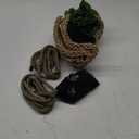 PINVNBY Bearded Dragon Hammock Jungle Climber Vines Flexible Reptile Leaves with Suction Cups Habitat Decor for Climbing, Chameleon, Lizards, Gecko, and Snakes 6 PCS