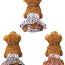 CuteBone Female Dog Diapers with Skirts 3 Pack Reusable Puppy Dresses Pants for Heat Cycle Period QBD12XS