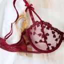 Lilosy Sexy Underwire Cute Push Up Strappy Embroidered Mesh Sheer Lingerie Set See Through Panty Bra (Red, M)