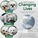 Nature's Protection Dry Dog Food for Small Breed - High Protein, Grain-Free, Anti-Tear Stain Diet for White & Light Fur Adult Dogs, Small Bites Kibble (Superior Care - White Fish, 3.3 lb) (3.3 Pound (Pack of 1))